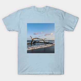 Driftwood in Ocean T-Shirt